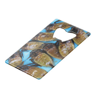 Abrebotellas De Tarjeta De Crédito Bug de agua gigante frito (Maeng Daa) ... Comida a