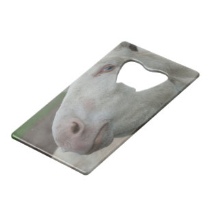 Abrebotellas De Tarjeta De Crédito Burro blanco austríaco-húngaro