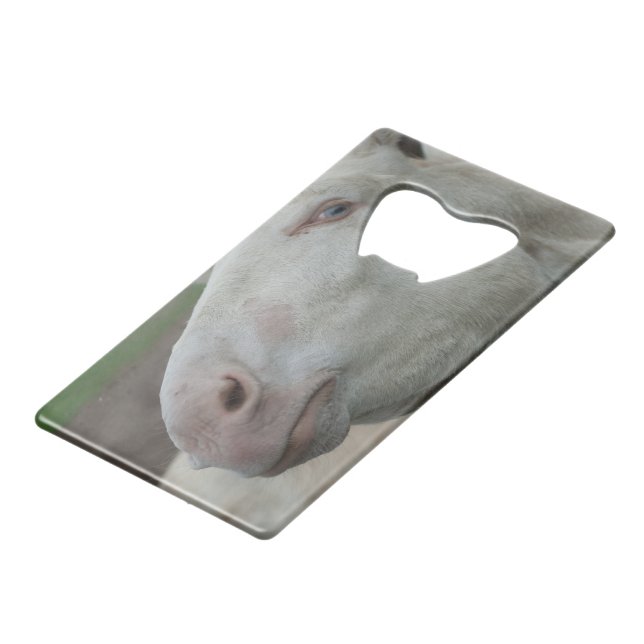 Abrebotellas De Tarjeta De Crédito Burro blanco austríaco-húngaro (Ángulo trasero)