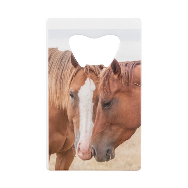 Abrebotellas De Tarjeta De Crédito Caballos zumbando en un pasto (Anverso)
