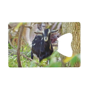 Abrebotellas De Tarjeta De Crédito Cabra sonriente