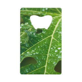 Abrebotellas De Tarjeta De Crédito Cae la lluvia en la hoja tropical verde de papaya