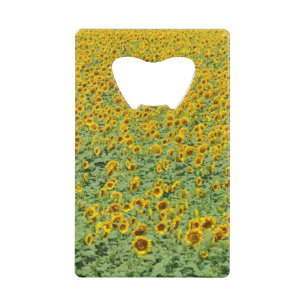 Abrebotellas De Tarjeta De Crédito Campo amarillo del girasol