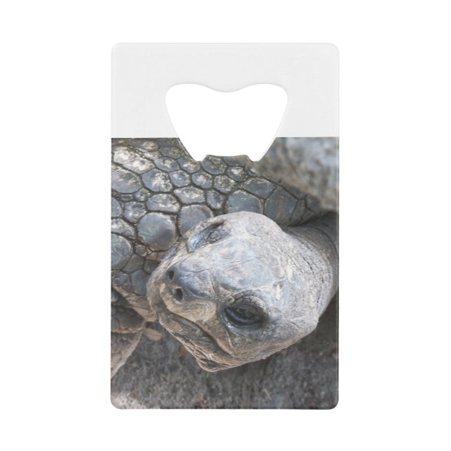 Abrebotellas De Tarjeta De Crédito Cara de tortoise (Anverso)
