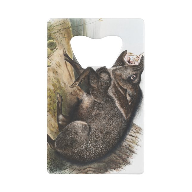 Abrebotellas De Tarjeta De Crédito Collared Peccary Pig Camping Deco Gifts (Reverso)