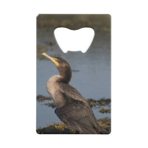Abrebotellas De Tarjeta De Crédito Cormorán de doble pecho