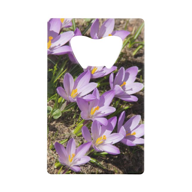 Abrebotellas De Tarjeta De Crédito Cruces elásticos (Anverso)