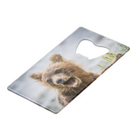 Abrebotellas De Tarjeta De Crédito Cubos Grizzly Buscando Su Mamá