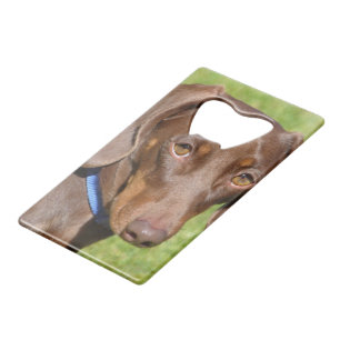 Abrebotellas De Tarjeta De Crédito Dachshund