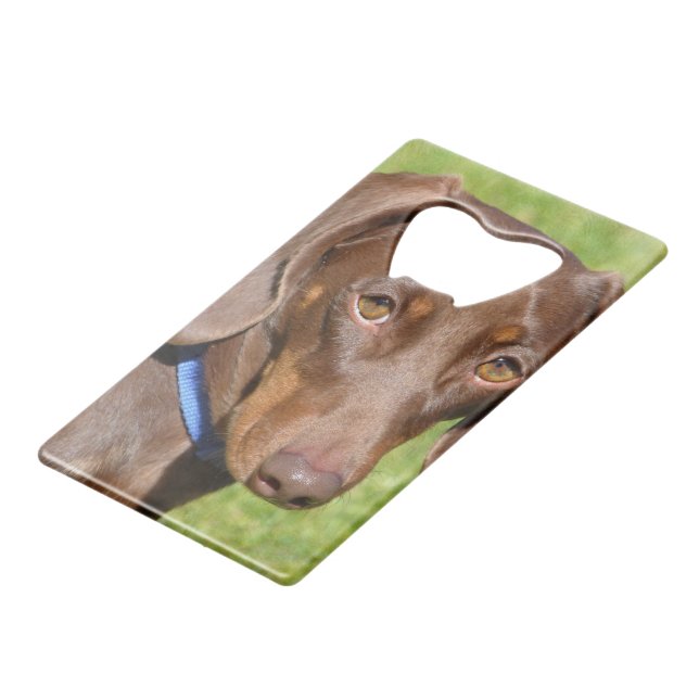 Abrebotellas De Tarjeta De Crédito Dachshund (Ángulo frontal)