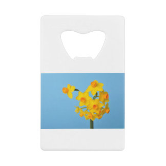 Abrebotellas De Tarjeta De Crédito Daffodias amarillas y naranjas sobre fondo azul