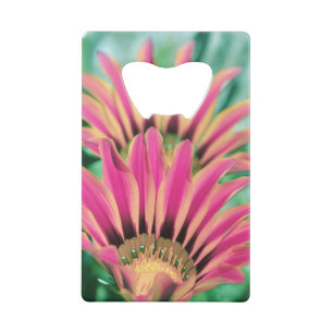 Abrebotellas De Tarjeta De Crédito Daisy rosa caliente