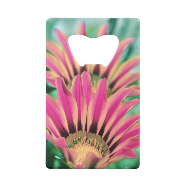 Abrebotellas De Tarjeta De Crédito Daisy rosa caliente (Anverso)
