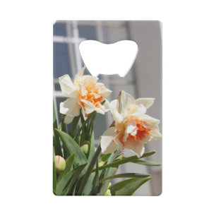 Abrebotellas De Tarjeta De Crédito Delicada primavera de daffodils tiernos