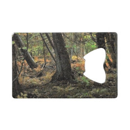 Abrebotellas De Tarjeta De Crédito Escena forestal de otoño     