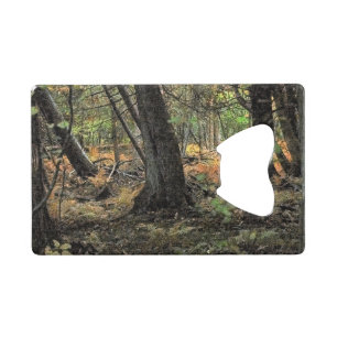 Abrebotellas De Tarjeta De Crédito Escena forestal de otoño     