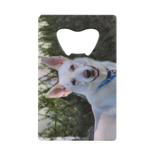 Abrebotellas De Tarjeta De Crédito Fantasma (Anverso)