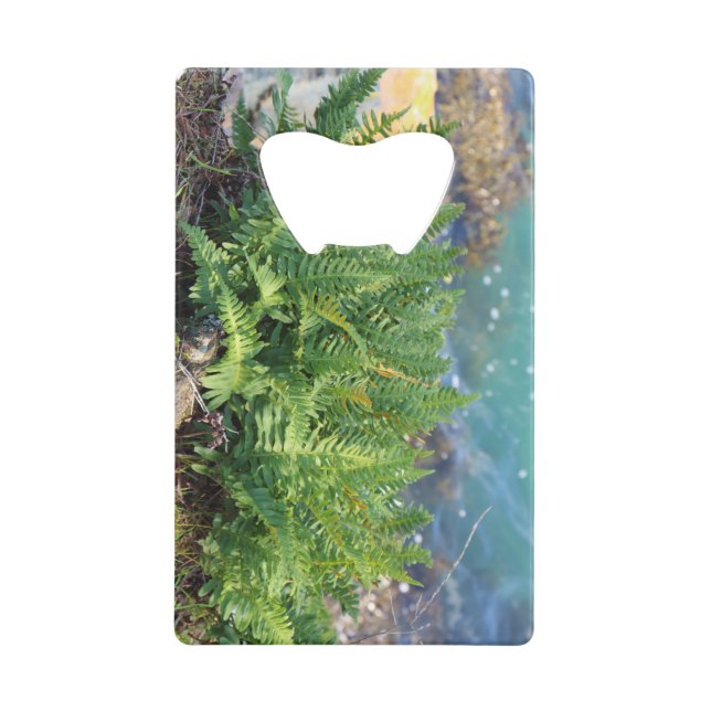 Abrebotellas De Tarjeta De Crédito Fern cerca del mar (Anverso)