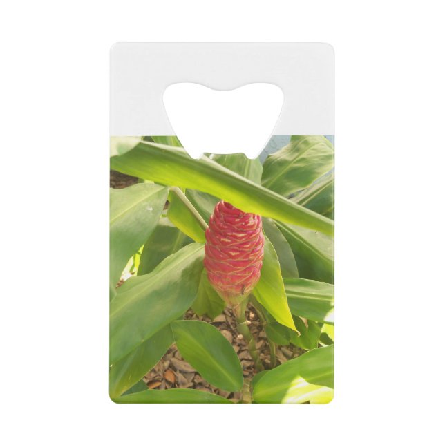 Abrebotellas De Tarjeta De Crédito Flor del jengibre del champú (Anverso)