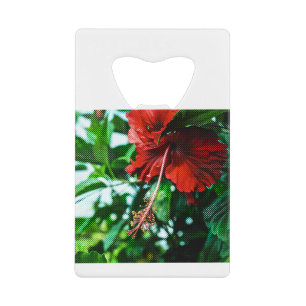 Abrebotellas De Tarjeta De Crédito Flor roja hibiscus