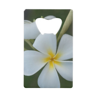 Abrebotellas De Tarjeta De Crédito Flor Tropical Blanca De Fiyi