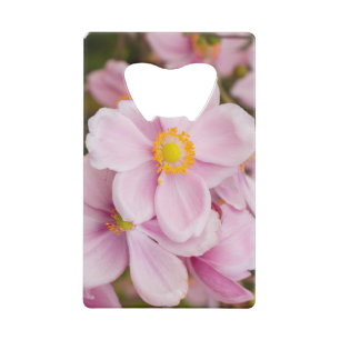 Abrebotellas De Tarjeta De Crédito Flores de anéono japonés