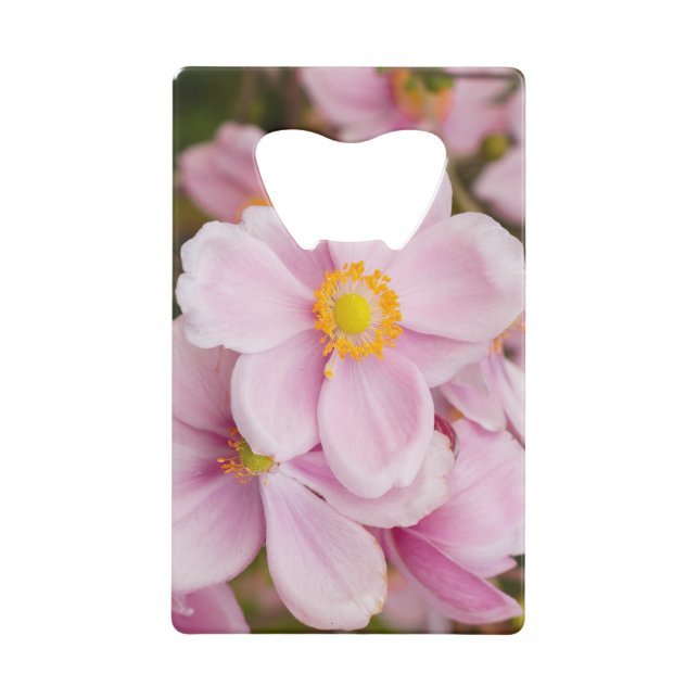 Abrebotellas De Tarjeta De Crédito Flores de anéono japonés (Anverso)