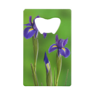 Abrebotellas De Tarjeta De Crédito Flores de Iris