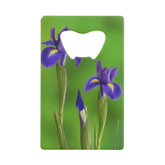 Abrebotellas De Tarjeta De Crédito Flores de Iris (Anverso)