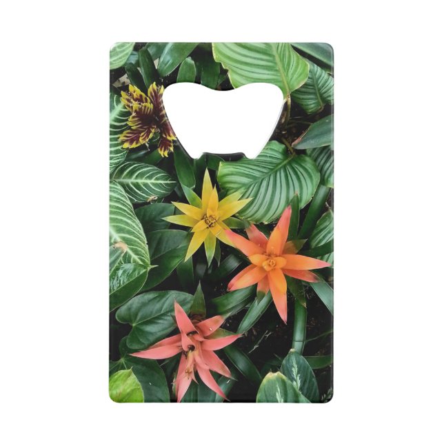 Abrebotellas De Tarjeta De Crédito Flores tropicales, naranja, amarillo y rojo (Anverso)