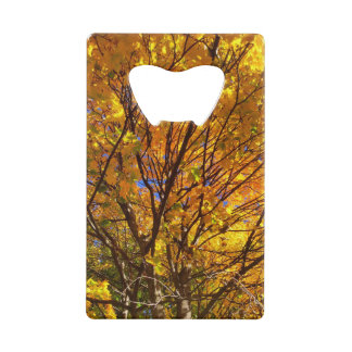 Abrebotellas De Tarjeta De Crédito Follaje Amarillo de Otoño