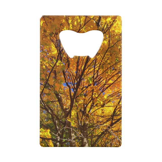 Abrebotellas De Tarjeta De Crédito Follaje Amarillo de Otoño (Anverso)