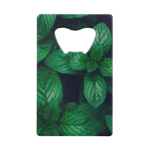 Abrebotellas De Tarjeta De Crédito Fondo de patrón de hojas verdes de la mimbre