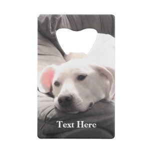 Abrebotellas De Tarjeta De Crédito Foto de Cute Lazy White Dog Coach