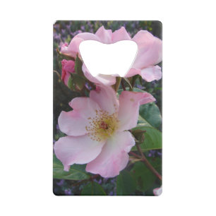 Abrebotellas De Tarjeta De Crédito Foto floral de flor de rosa silvestre rosa