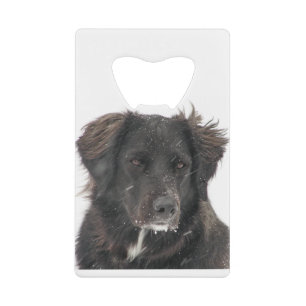 Abrebotellas De Tarjeta De Crédito Foto negra del mascota del perro del laboratorio