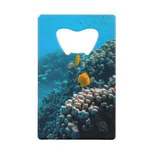 Abrebotellas De Tarjeta De Crédito Fotos náuticas Fotografía de animales marinos Fish