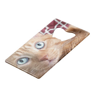 Abrebotellas De Tarjeta De Crédito Frankie