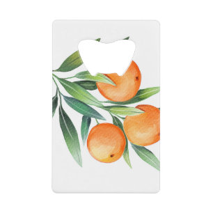 Abrebotellas De Tarjeta De Crédito Frutas Naranjas acuáticas: Ramas aisladas.