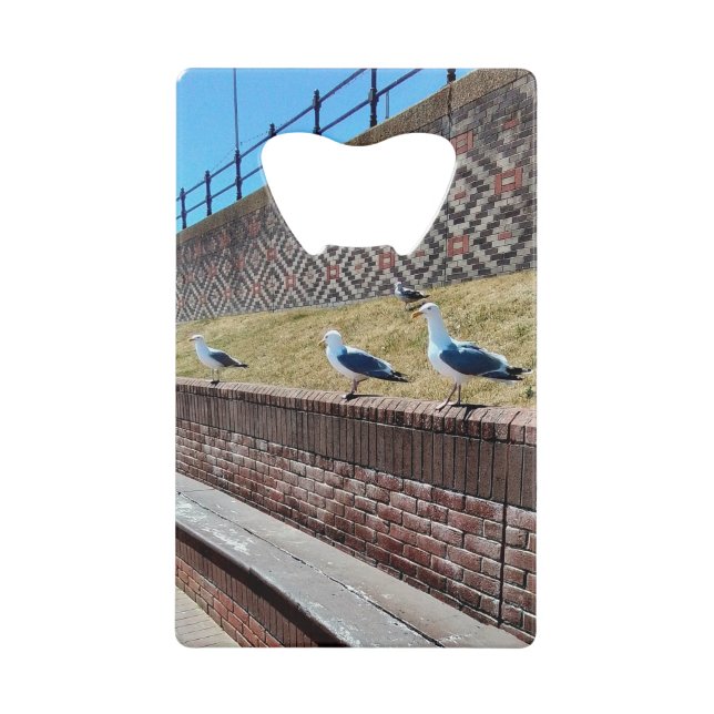 Abrebotellas De Tarjeta De Crédito Gaviotas (Anverso)