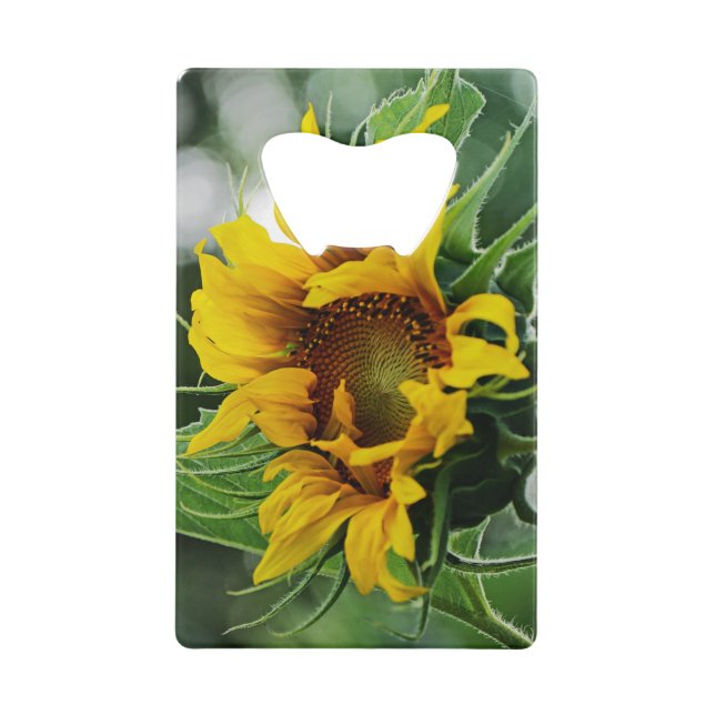 Abrebotellas De Tarjeta De Crédito Girasol (Anverso)