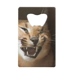 Abrebotellas De Tarjeta De Crédito Goofy Lynx