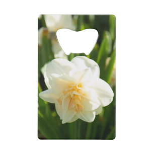 Abrebotellas De Tarjeta De Crédito Grandes daffodias blancas en un día de primavera