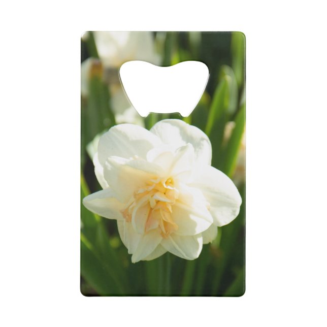 Abrebotellas De Tarjeta De Crédito Grandes narcisos blancos en un día de primavera   (Anverso)