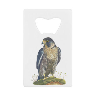 Abrebotellas De Tarjeta De Crédito Halcón Peregrino