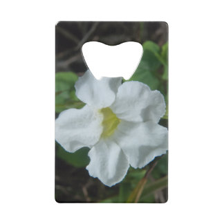Abrebotellas De Tarjeta De Crédito Hallan flor tropical blanca en Fiyi