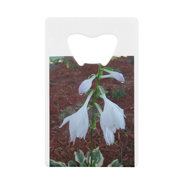 Abrebotellas De Tarjeta De Crédito Harto de un sol Hosta Bloom (Anverso)