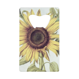 Abrebotellas De Tarjeta De Crédito Helianthus annuus de 'Velins du Roi Vol.36'