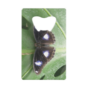 Abrebotellas De Tarjeta De Crédito Hermosa botella de mariposa con manchas azules