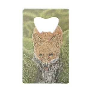 Abrebotellas De Tarjeta De Crédito Herramienta de hidratación